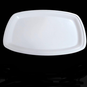 Vintage Litton 11.5" MICRO-BROWNER Microwave Cooking Steaks & Chops Grill‎ Plate